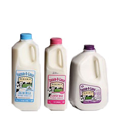 Regular Milk