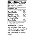 GUS Soda - Extra Dry Ginger Ale - 12 oz (24 Glass Bottles)