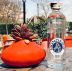 Mondariz - Natural Still Mineral Water - 750 ml (1 Glass Bottles)