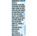 Poland Spring - Sparkling Water - 16.9 oz (24 Plastic Bottles)