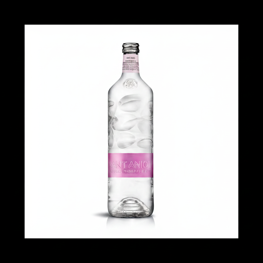 Sant Aniol - Volcanic Origin - Sparkling Natural Mineral Water - 750 ml (1 Glass Bottle)