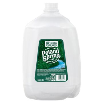 Poland Spring - Spring Water - 1 Gal (1 Plastic Bottle)