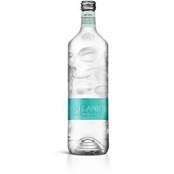 Sant Aniol - Volcanic Origin - Natural Mineral Water - 750 ml (6 Glass Bottles)
