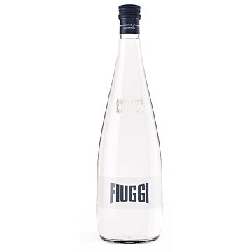 Fiuggi - Sparkling Water - 1 L (1 Glass Bottle)