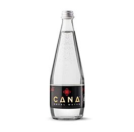 Cana Royal Water - Strong - Carbonated Mineral Water (Heavy Bubbles) - 330 ml (24 Glass Bottles)
