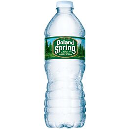 Poland Spring - Spring Water - 0.5 L (24 Plastic Bottles)