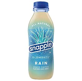 Snapple - Element - Rain - Agave Cactus - 15.9 (24 Plastic Bottles)