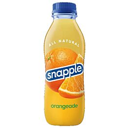 Snapple - Orangeade - 16 oz (12 Plastic Bottles)