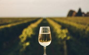 O.Vine: Wine Essence Water