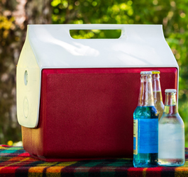 Tips on Packing the Cooler For a Summer Road Trip